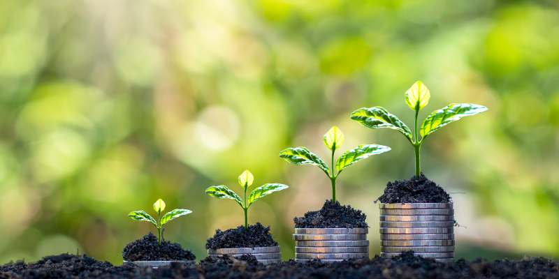 Other Funding Opportunities